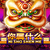 RTP joker beerslot365